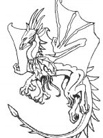 Dragons (11)