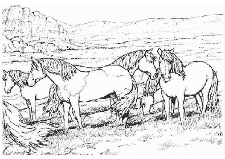 Pferde (3) | Ausmalbilder kostenlos